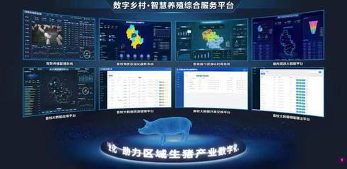 预警大数据平台 解开“框”住生猪产业的枷锁，助推改革迈向全国